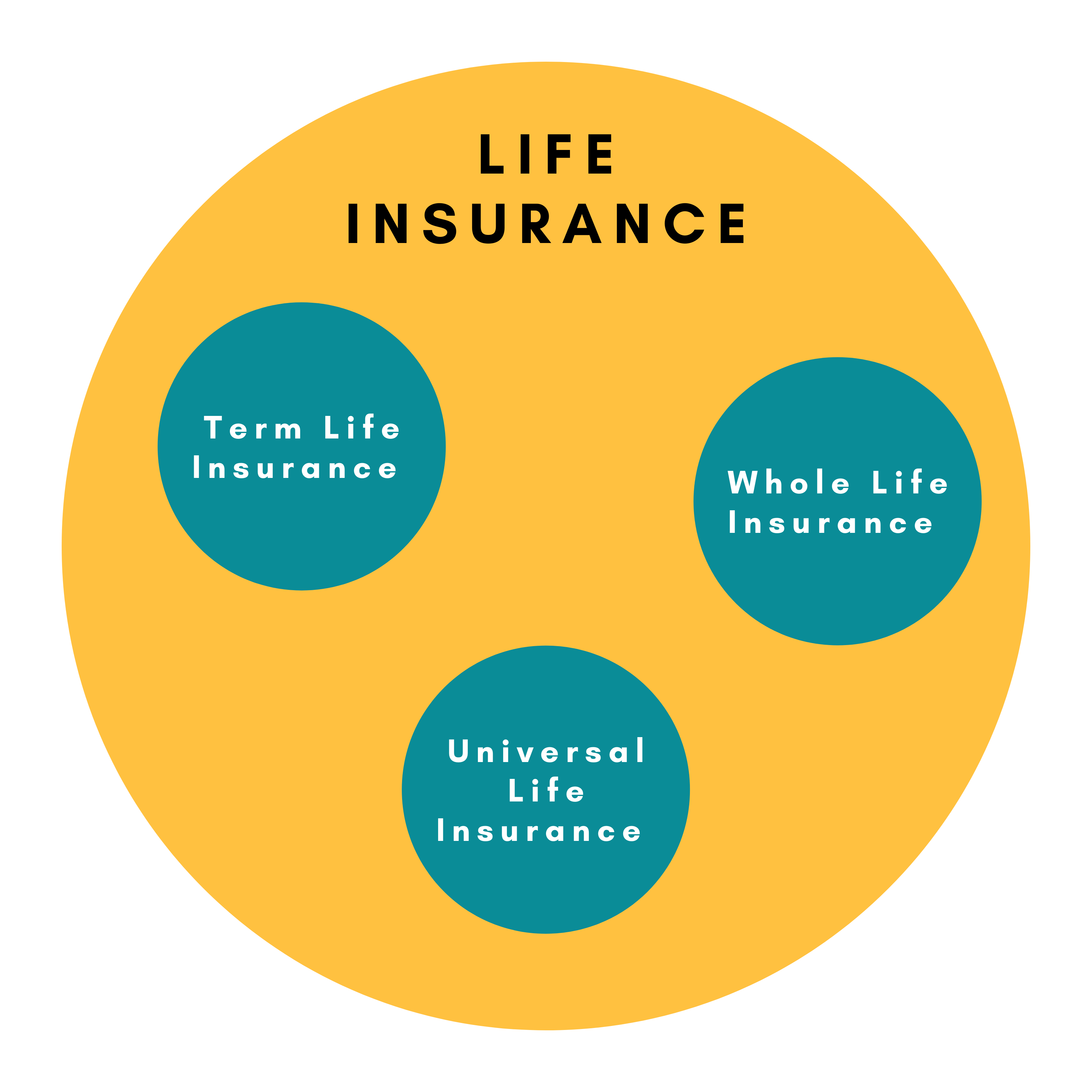 Types & Benefits of Life Insurance Policy in UAE